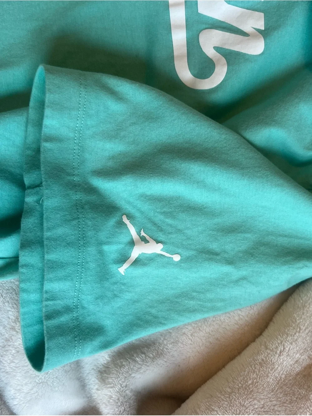 Jordan Short-Sleeve Crewneck T-Shirt in Mint Green with White Jumpman